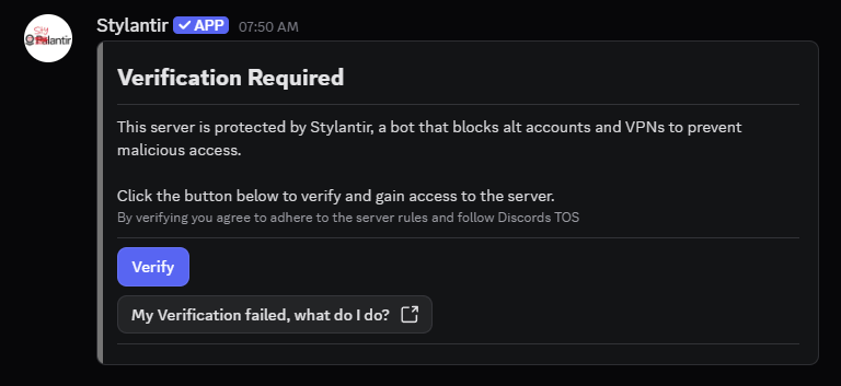 The verification prompt posted in your server